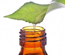 Τα Αντιβιοτικά της Φύσης